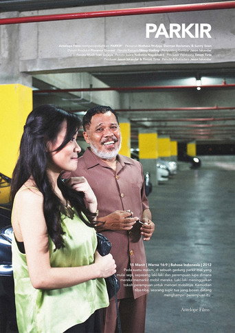 Póster de Parkir