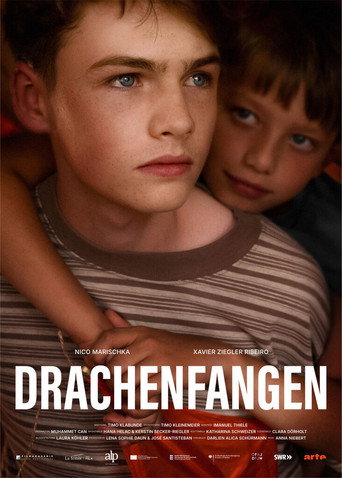Póster de Drachenfangen
