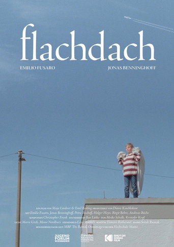 Póster de Flachdach