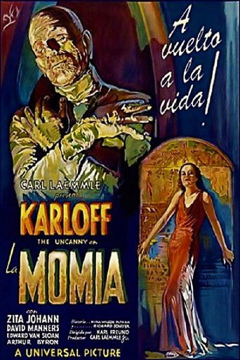 Póster de La momia