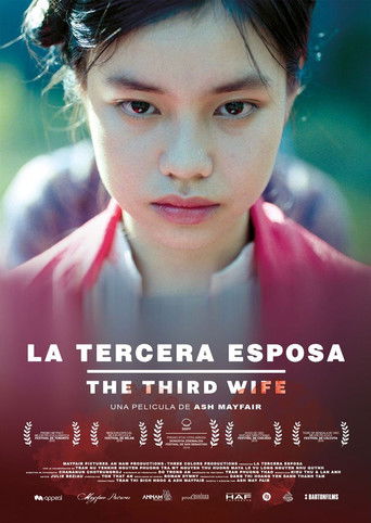 Póster de La Tercera Esposa