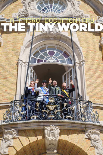 Póster de The Tiny World