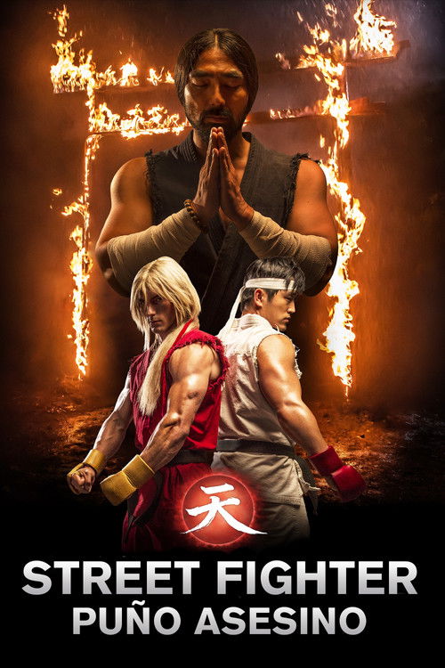 Póster de Street Fighter: El puño asesino