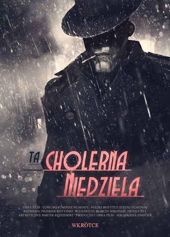 Póster de Ta cholerna niedziela