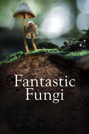 Póster de Hongos fantásticos