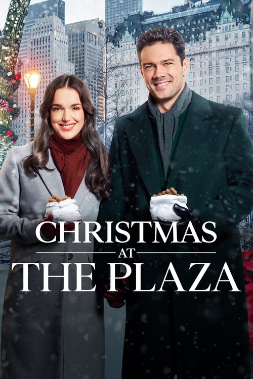 Póster de Navidad en el Plaza