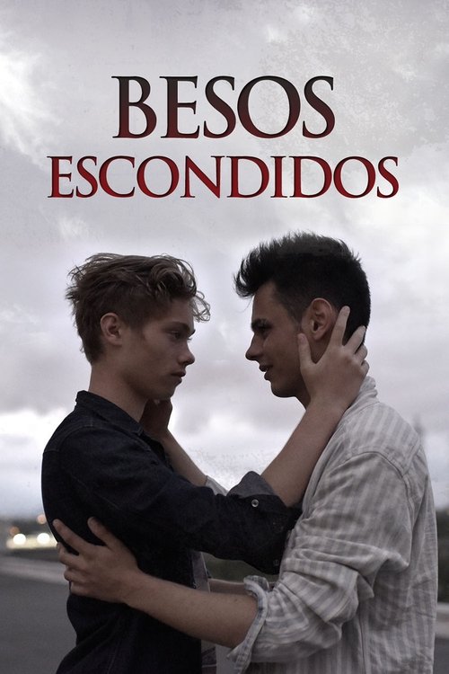 Póster de Besos escondidos