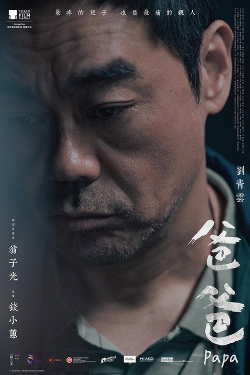 Póster de 爸爸