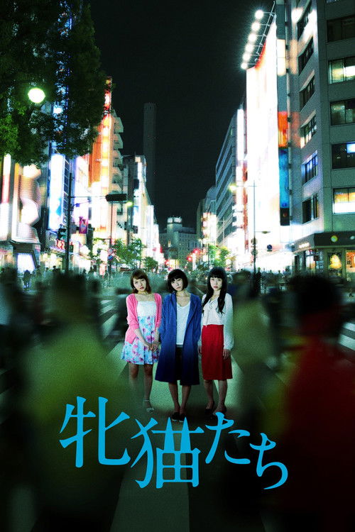 Póster de 牝猫たち
