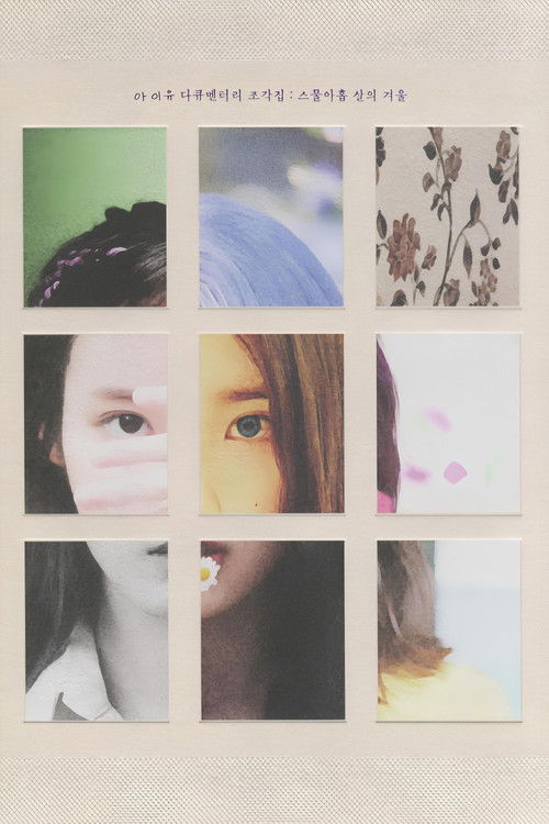 Póster de Pieces: 29th Winter