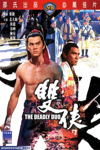 Póster de 雙俠