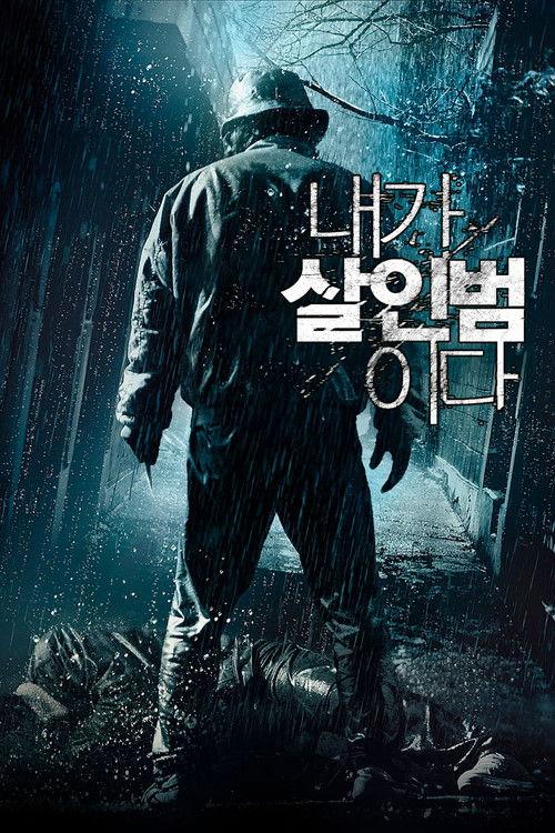 Póster de 내가 살인범이다