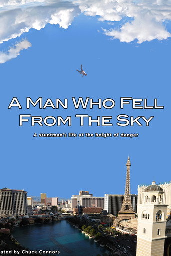 Póster de A Man Who Fell From The Sky