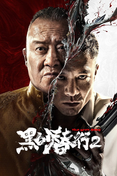 Póster de 黑白潜行2