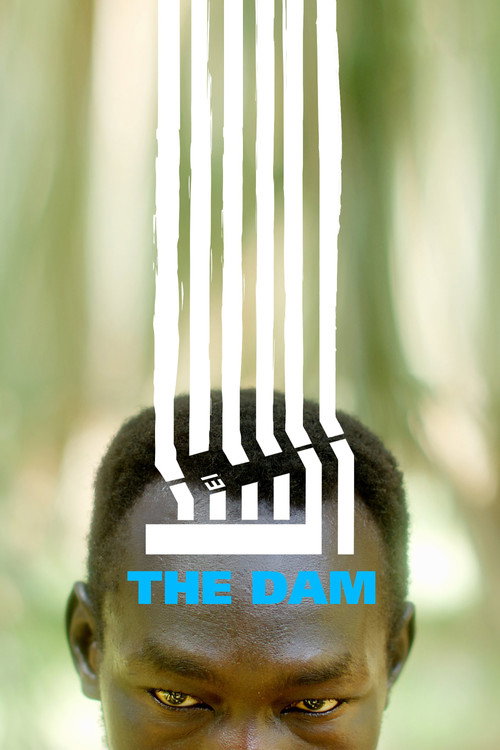 Póster de The Dam