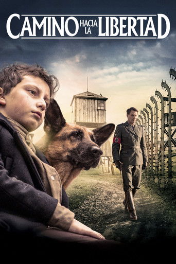Póster de Shepherd: The Story of a Jewish Dog