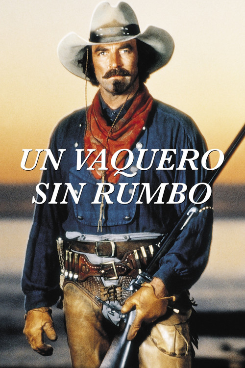 Póster de Con todas las de la ley