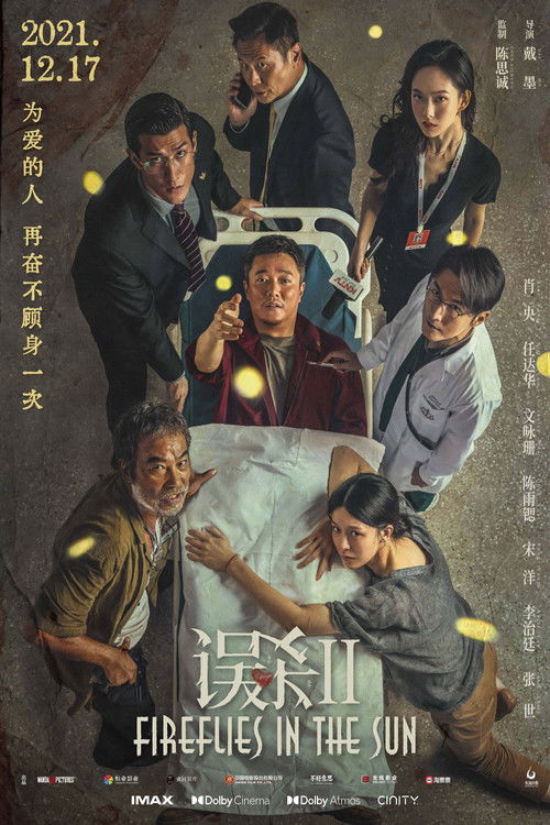 Póster de 误杀2