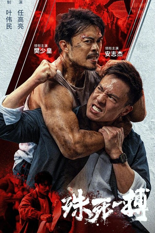 Póster de 殊死一搏