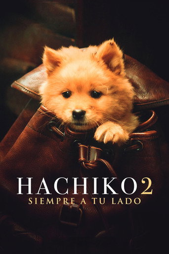 Póster de Hachiko 2: Siempre a tu lado