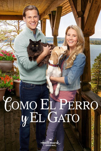 Póster de Like Cats & Dogs