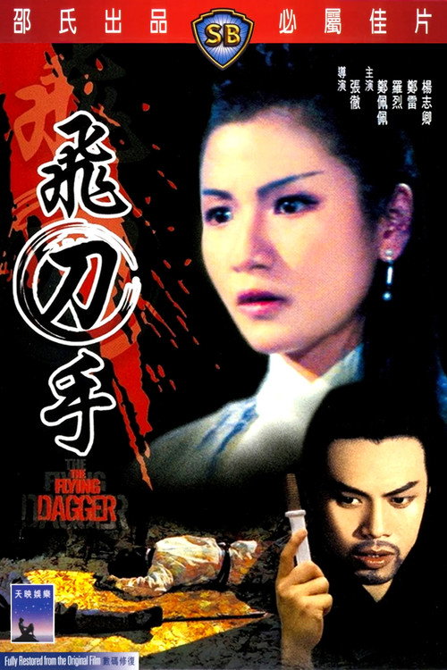 Póster de 飛刀手