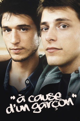 Póster de À cause d'un garçon