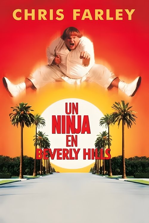 Póster de Un ninja en Beverly Hills