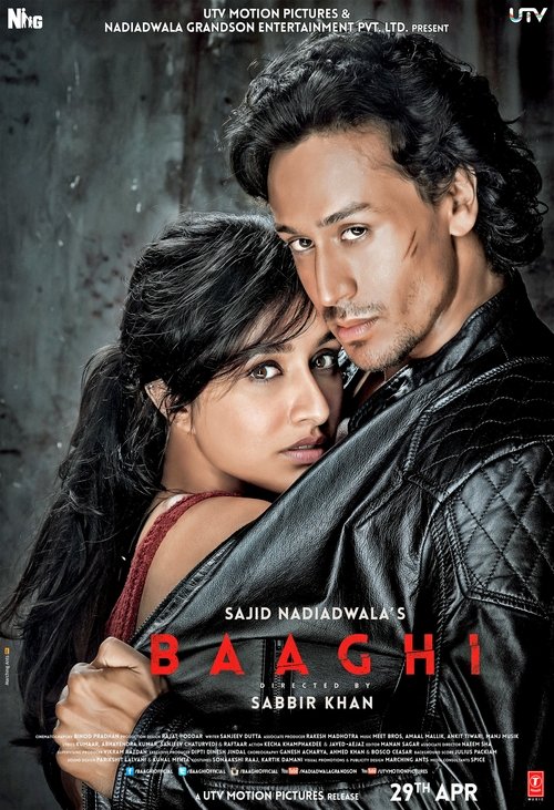 Póster de Baaghi