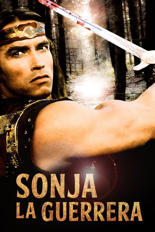 Póster de Sonja la guerrera