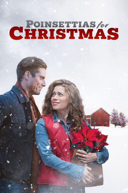 Póster de Poinsettias for Christmas