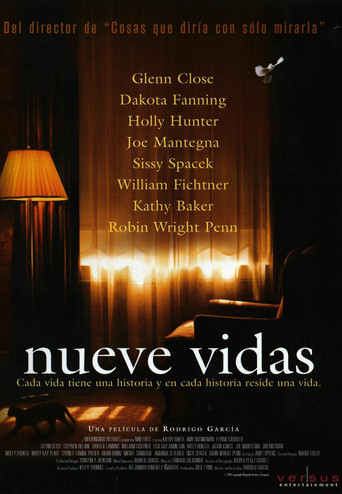 Póster de Nine Lives