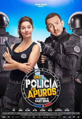 Póster de RAID Dingue