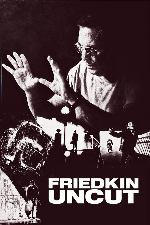 Póster de Friedkin Uncut