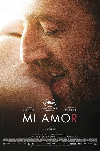 Póster de Mon roi