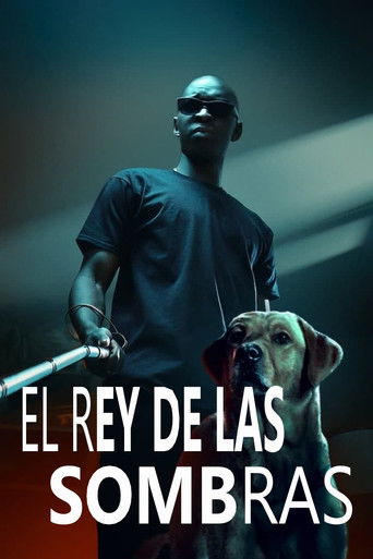 Póster de El rey de las sombras