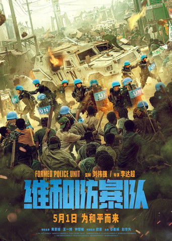 Póster de 维和防暴队