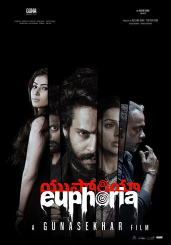 Póster de Euphoria
