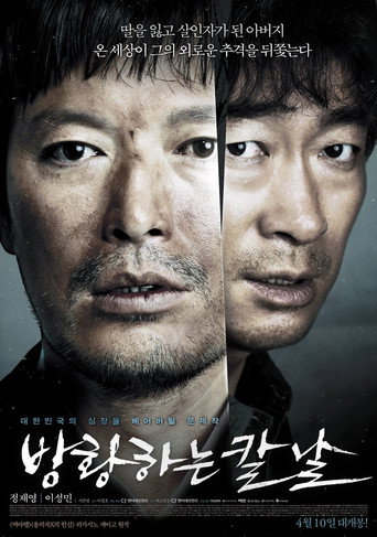 Póster de 방황하는 칼날