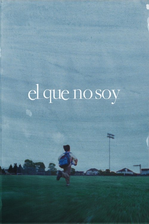 Póster de Riceboy Sleeps