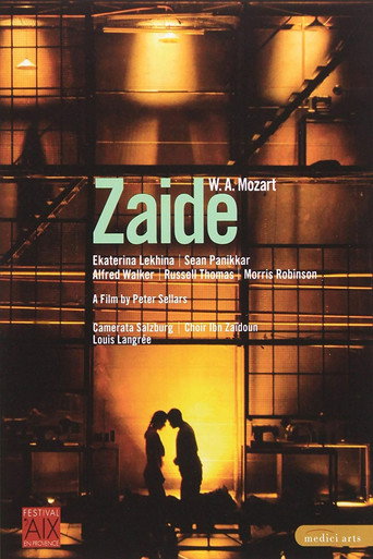 Póster de Zaide