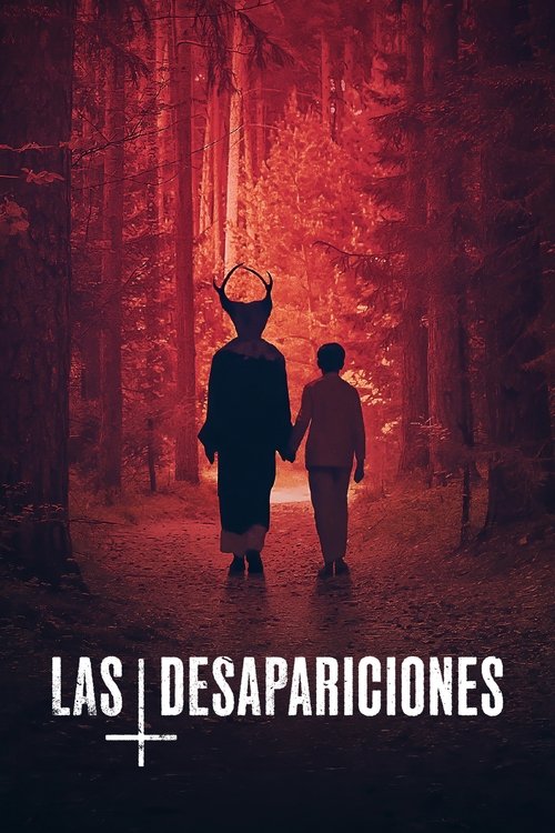 Póster de Las desapariciones