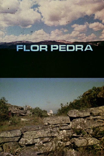 Póster de Flor Pedra