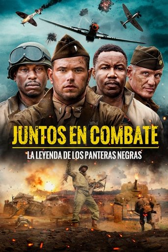 Póster de Come Out Fighting