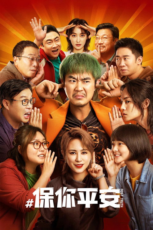 Póster de 保你平安