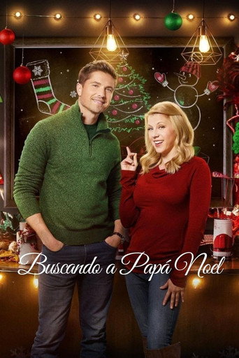 Póster de Finding Santa