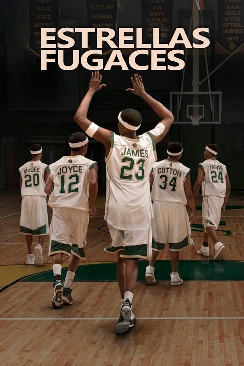 Póster de Estrellas Fugaces