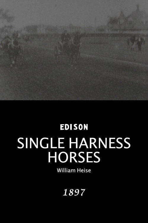 Póster de Single Harness Horses