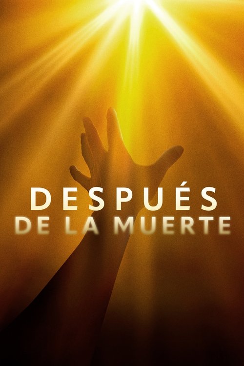 Póster de After Death