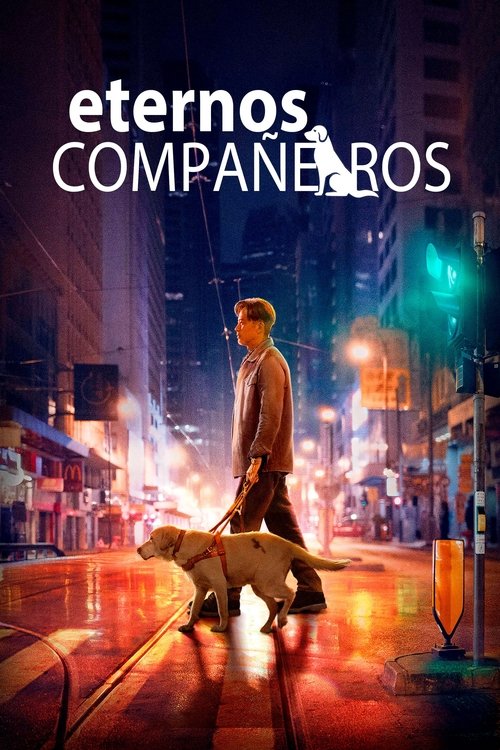 Póster de Eternos Compañeros